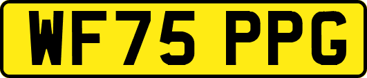 WF75PPG