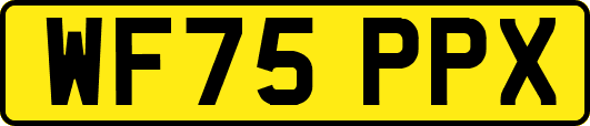 WF75PPX