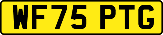 WF75PTG