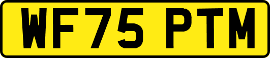WF75PTM
