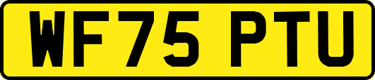 WF75PTU