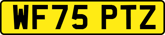 WF75PTZ