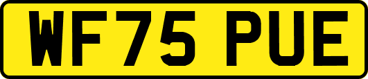 WF75PUE