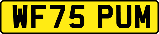 WF75PUM