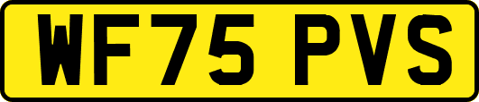 WF75PVS