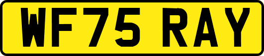 WF75RAY