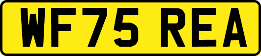 WF75REA