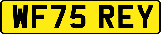 WF75REY