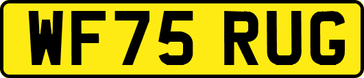 WF75RUG