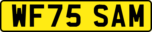 WF75SAM