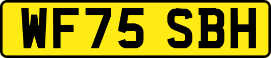 WF75SBH