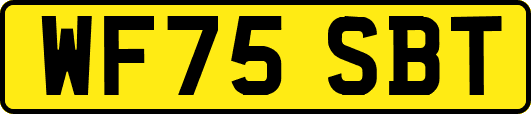WF75SBT