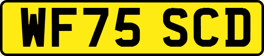 WF75SCD