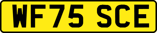 WF75SCE
