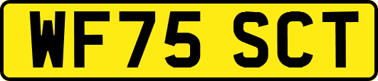 WF75SCT