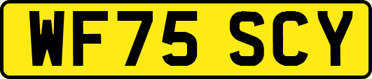 WF75SCY