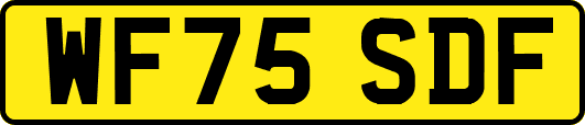 WF75SDF