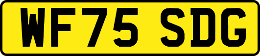 WF75SDG