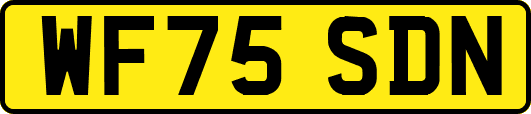 WF75SDN