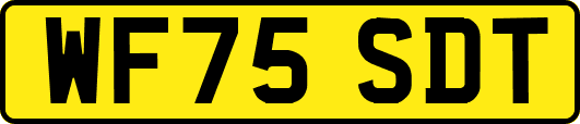WF75SDT