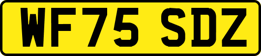 WF75SDZ