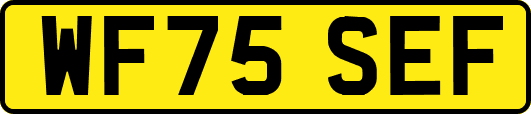 WF75SEF