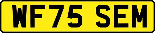 WF75SEM