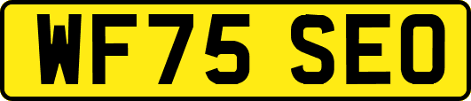 WF75SEO
