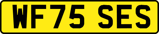WF75SES