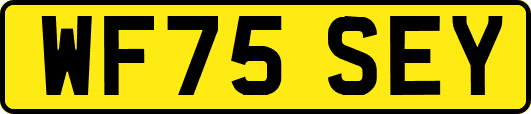 WF75SEY