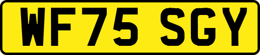 WF75SGY