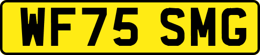 WF75SMG
