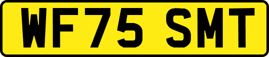 WF75SMT