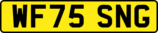 WF75SNG