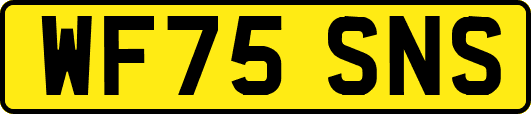WF75SNS