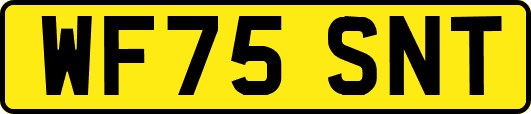 WF75SNT