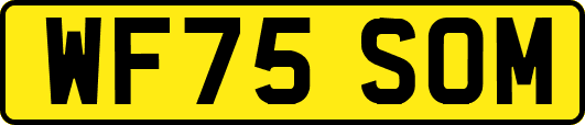 WF75SOM
