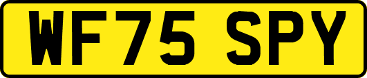 WF75SPY