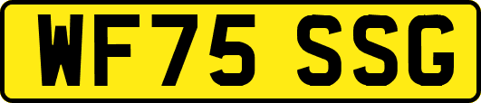 WF75SSG