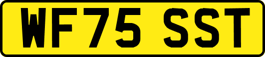 WF75SST