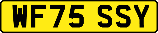 WF75SSY