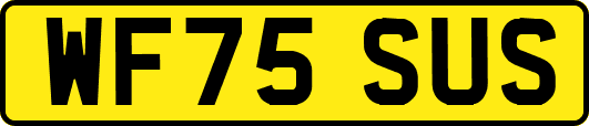 WF75SUS