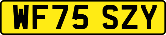WF75SZY