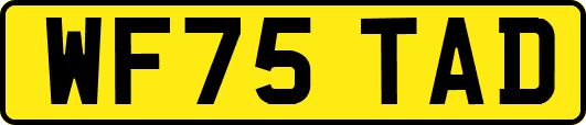 WF75TAD