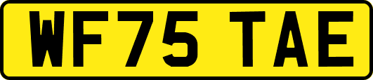 WF75TAE