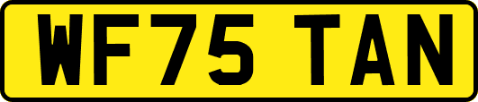 WF75TAN