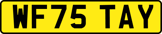 WF75TAY