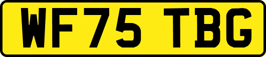 WF75TBG