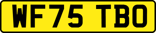 WF75TBO