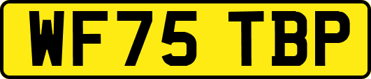 WF75TBP